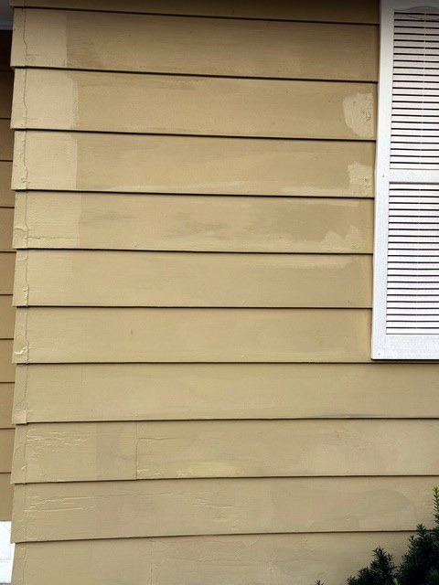 Lap siding next to a shutter with primer patches drying before the topcoat