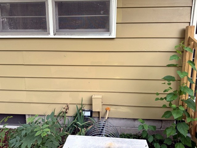 Painted tan siding below a pair of windows, with garden plants in front